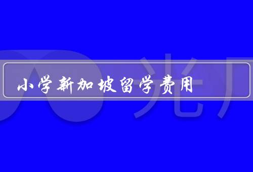 小学新加坡留学费用（留学费用包含的项目／费用的具体金额）