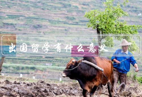 出国留学有什么意义，拓展学术视野、提高语言能力