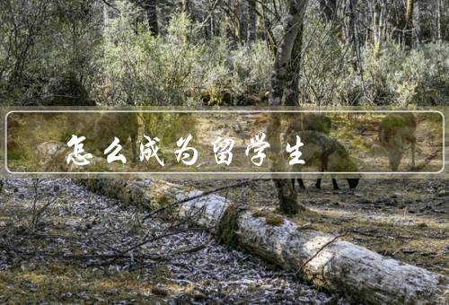 怎么成为留学生（留学目的地、合适的学校和专业、准备留学资金）
