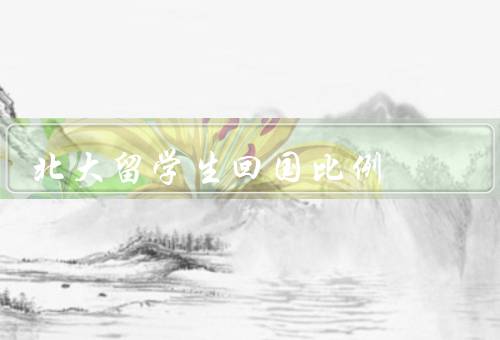 北大留学生回国比例（就业机会、学术发展、文化融合与身份认同）