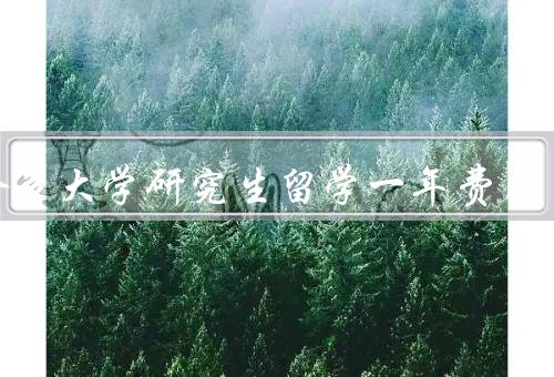 多伦多大学研究生留学一年费用，留学费用构成／费用预算／经济来源