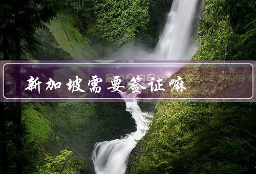 新加坡需要签证嘛，新加坡政策／要求／流程