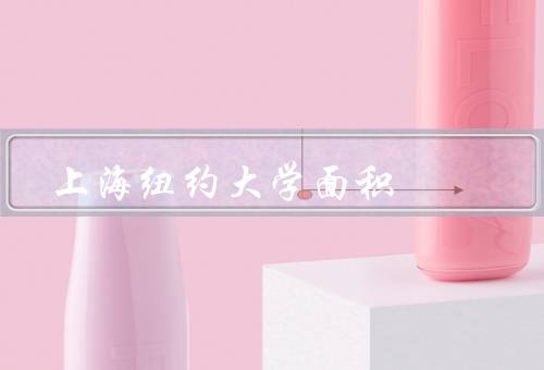 上海纽约大学面积（学校环境、教学设施、国际化特色）