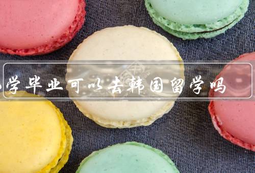 小学毕业可以去韩国留学吗（年龄和心理发展／学习和语言能力）