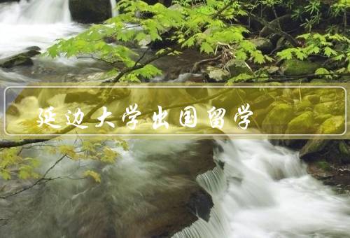 延边大学出国留学中心（咨询和指导／活动组织／信息平台）