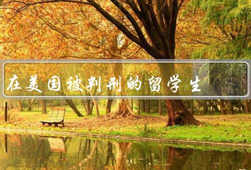 在美国被判刑的留学生（原因／后果／如何避免）
