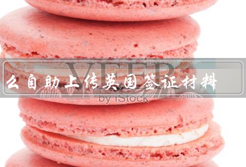 怎么自助上传英国签证材料，步骤／注意事项
