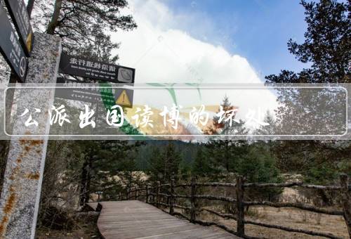 公派出国读博的坏处