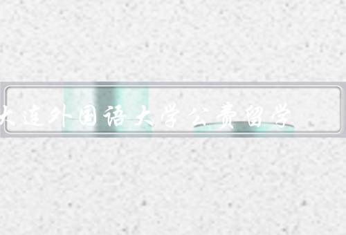 大连外国语大学公费留学