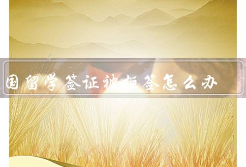 法国留学签证被拒签怎么办，申请复审、寻求法律帮助