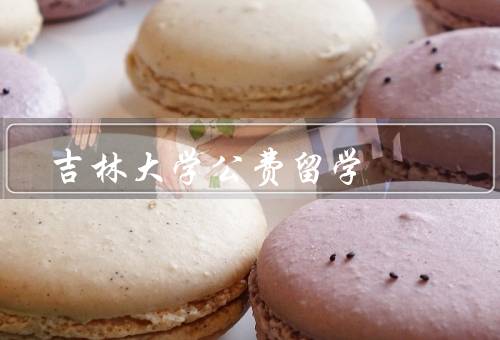吉林大学公费留学（留学机会、优质教学资源、奖学金资助）