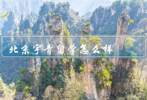 北京宇青留学怎么样