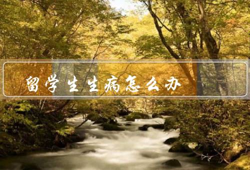 俄罗斯留学生生病怎么办，医疗保险、寻求医疗帮助、遵守医生的建议