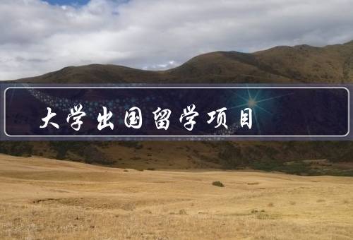 人民大学出国留学项目，概述、优势、成果