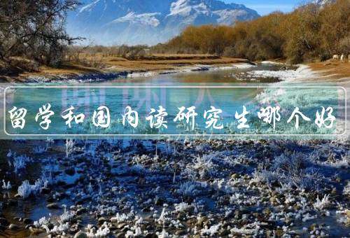 出国留学和国内读研究生哪个好
