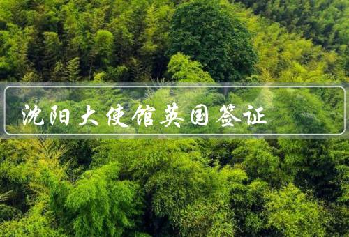 沈阳大使馆英国签证（签证类型／申请流程／服务与支持）