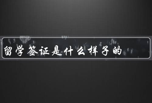 留学签证是什么样子的，种类、申请过程、注意事项