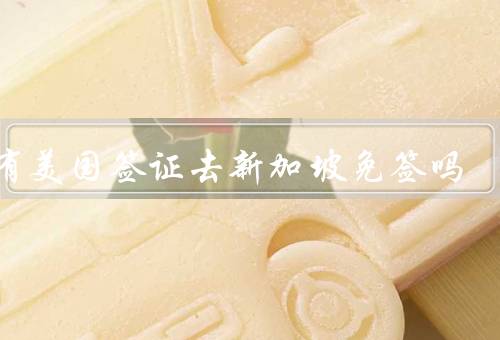 持有美国签证去新加坡免签吗，政策的适用范围、申请流程
