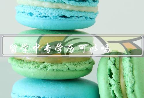 俄罗斯留学中专学历可以吗（中专学历的认可／就业与发展）