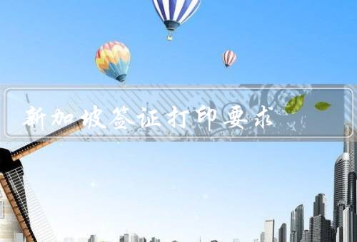 新加坡签证打印要求，申请表格、护照照片、其他支持文件