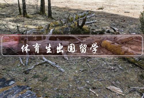体育生出国留学（体育水平的提升、学术素养的提高、国际交流与合作）