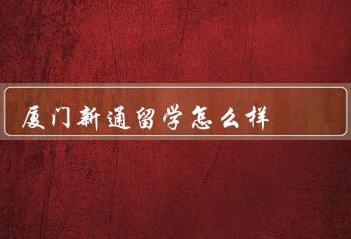厦门新通留学怎么样（办理手续简便、专业的留学咨询服务）