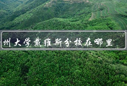 加州大学戴维斯分校在哪里（戴维斯市的位置、校园的位置）