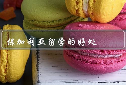 保加利亚留学的好处，丰富的文化和历史／优质的教育资源