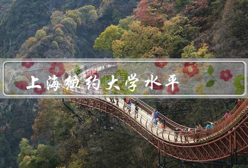 上海纽约大学水平，教学质量、师资力量、学术氛围