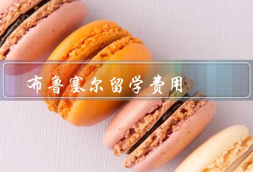 布鲁塞尔留学费用