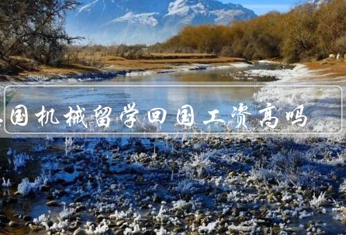 德国机械留学回国工资高吗（留学背景的影响、技术水平的要求）