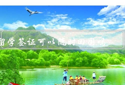 留学签证可以随时回国吗，留学签证的特点／签证规定的限制