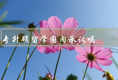 专升硕留学国内承认吗（国内承认程度、就业方面、升学方面）