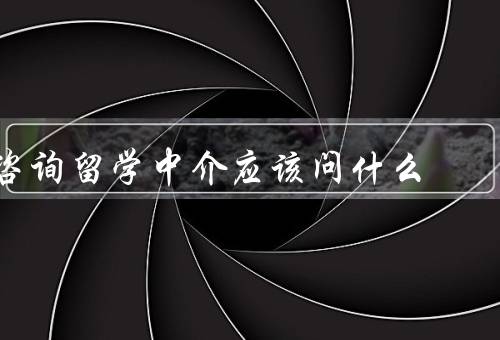 咨询留学中介应该问什么（服务范围、学生评价、专业背景）