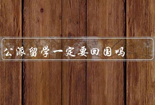 公派留学一定要回国吗，留学回国政策／国家发展需求