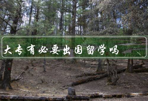 大专有必要出国留学吗，大专生身份限制、国外教育资源