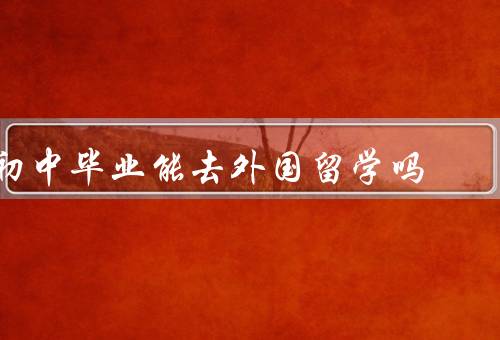 初中毕业能去外国留学吗，教育体系差异、语言能力要求、经济条件