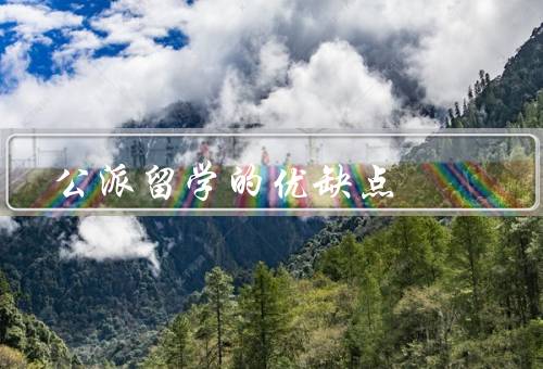公派留学的优缺点，适应困难／文化差异／留学费用