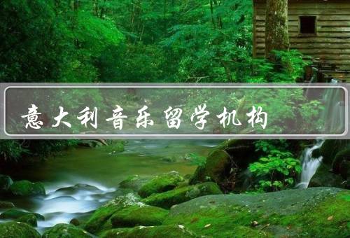 意大利音乐留学机构（优质教育、丰富资源、文化交流）