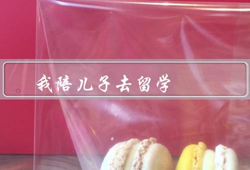 我陪儿子去留学，准备留学／适应新环境／收获与成长