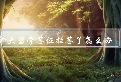 加拿大留学签证拒签了怎么办，拒签原因及解决方法／重新申请签证
