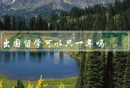 出国留学可以只一年吗（优点／缺点／适合人群）