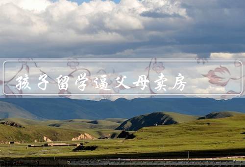 孩子留学逼父母卖房，留学的价值观扭曲／孩子的心理压力