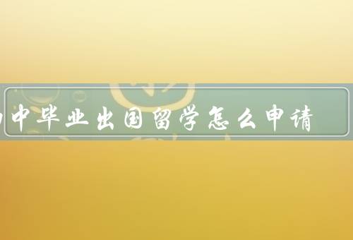 初中毕业出国留学怎么申请（填写申请表、准备推荐信、参加面试）