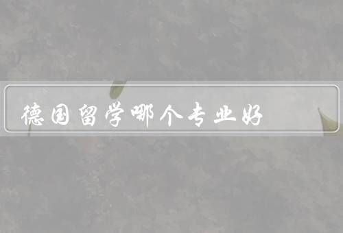 德国留学哪个专业好，工程技术类／商科类／信息技术类