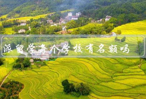 公派留学每个学校有名额吗（名额分配制度、每个学校是否有名额）
