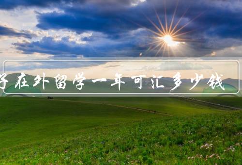 孩子在外留学一年可汇多少钱，留学费用／交通费用／保险费用