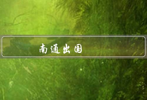 南通出国留学咨询，咨询服务／文化培训／申请指导