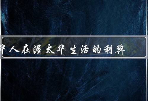 华人在渥太华生活的利弊，社区建设、文化交流、就业机会