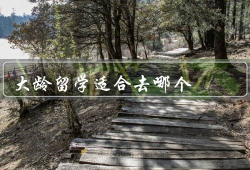 大龄留学适合去哪个国家，美国、加拿大、澳大利亚